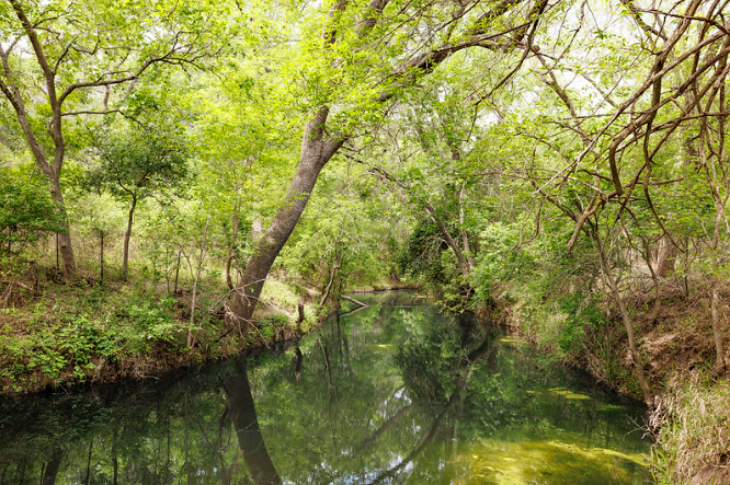 Texas Hill Country state park's near-doubling will add 'rare plant community'
