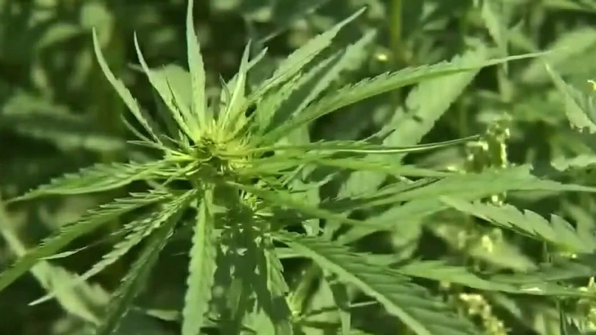 New Texas THC regulations: Lawsuit set to be filed