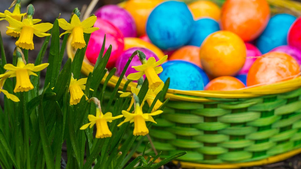 What Texans are really tucking into their Easter baskets this year