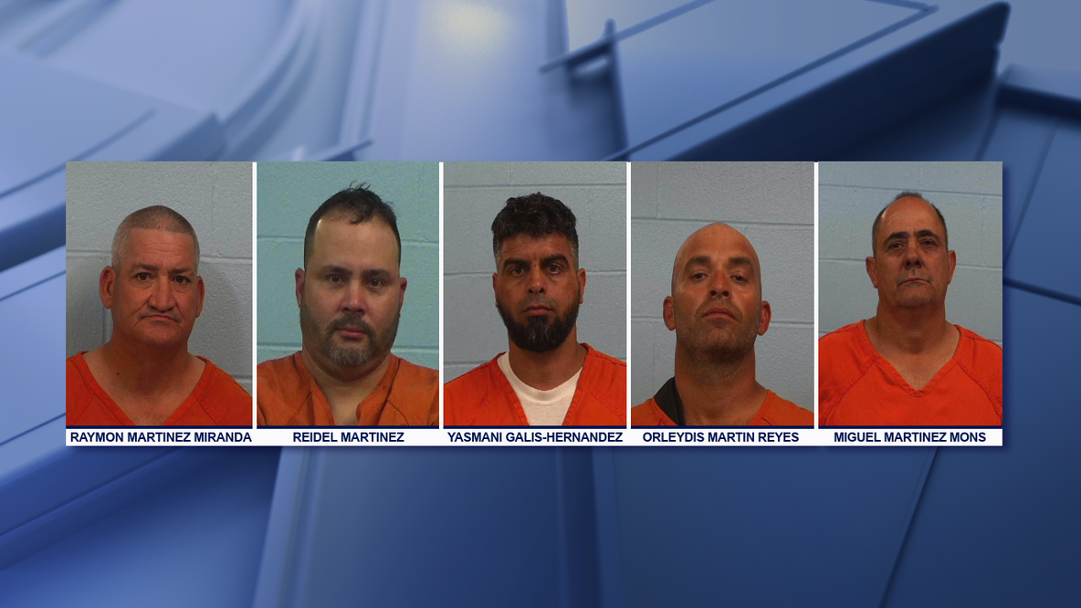 5 charged in Williamson County theft ring after 70 head of cattle stolen, slaughtered