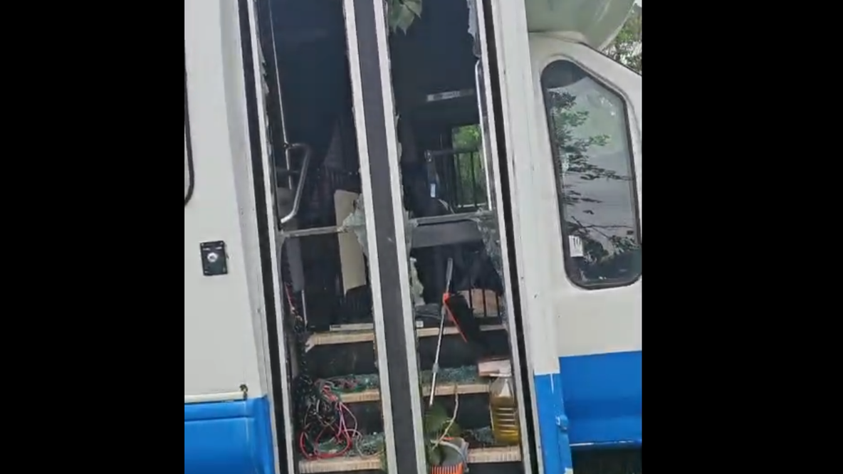 Wilco Animal Shelter takes in 11 dogs from storm-damaged North Texas rescue