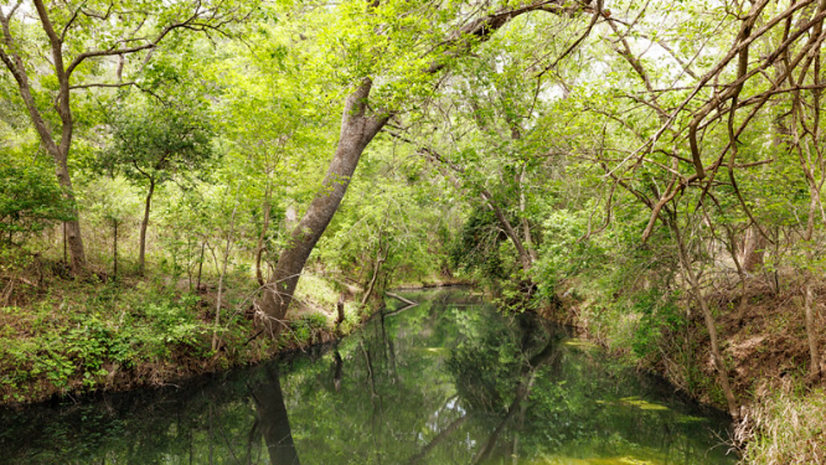 Texas Hill Country state park's near-doubling will add 'rare plant community'