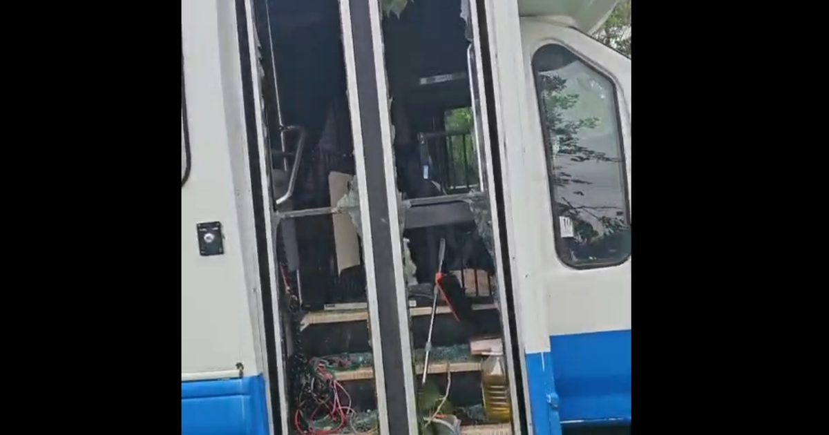 Wilco Animal Shelter takes in 11 dogs from storm-damaged North Texas rescue