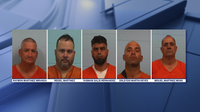 5 charged in Williamson County theft ring after 70 head of cattle stolen, slaughtered
