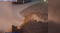Resident in Pflugerville neighborhood claims city's construction damaged her home