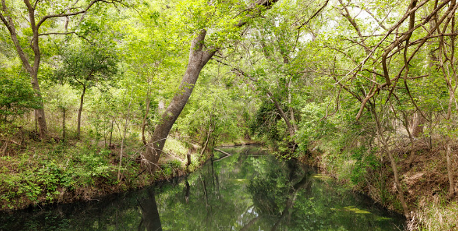 Texas Hill Country state park's near-doubling will add 'rare plant community'
