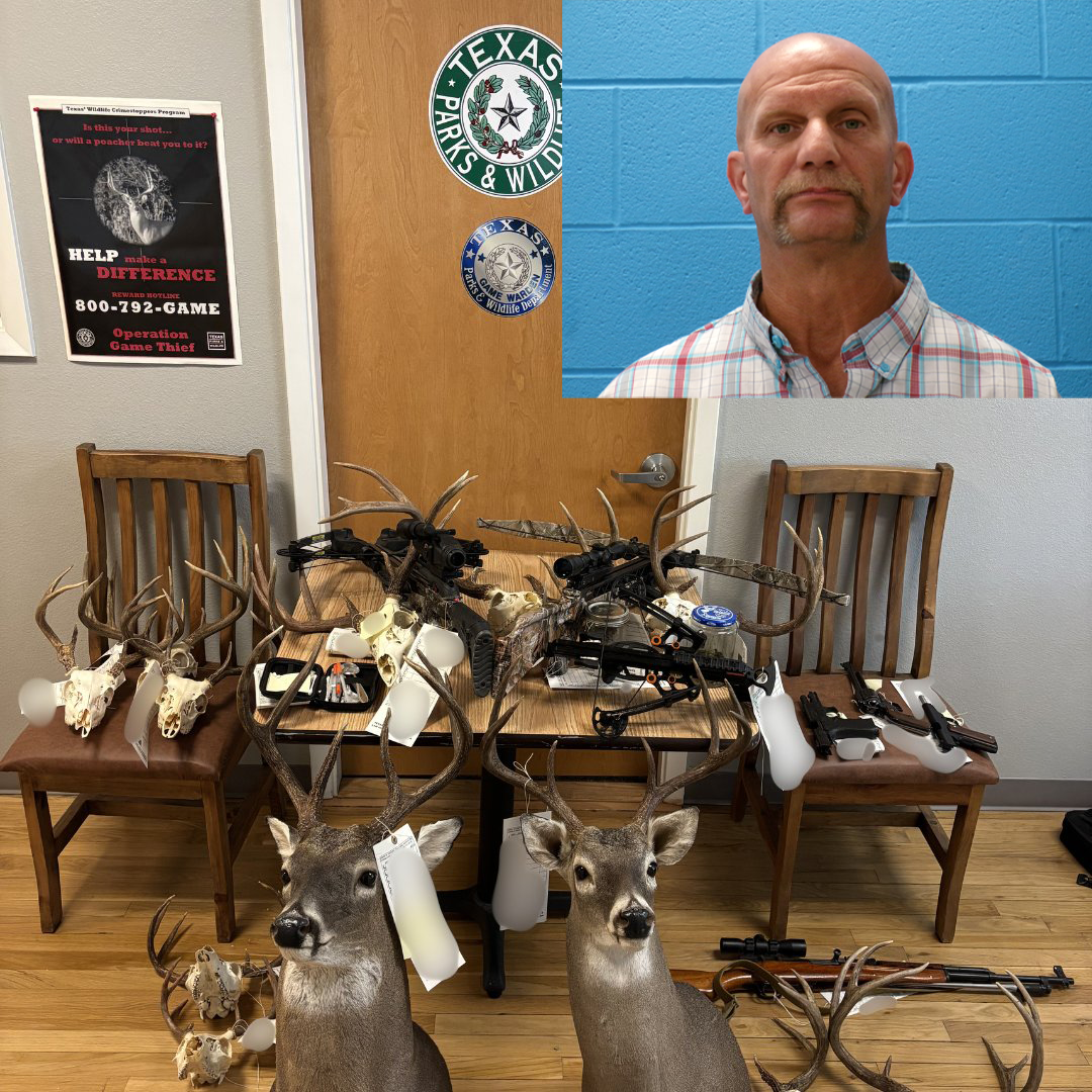 Texas Game Wardens say man illegally killed 13 deer, left carcasses to waste
