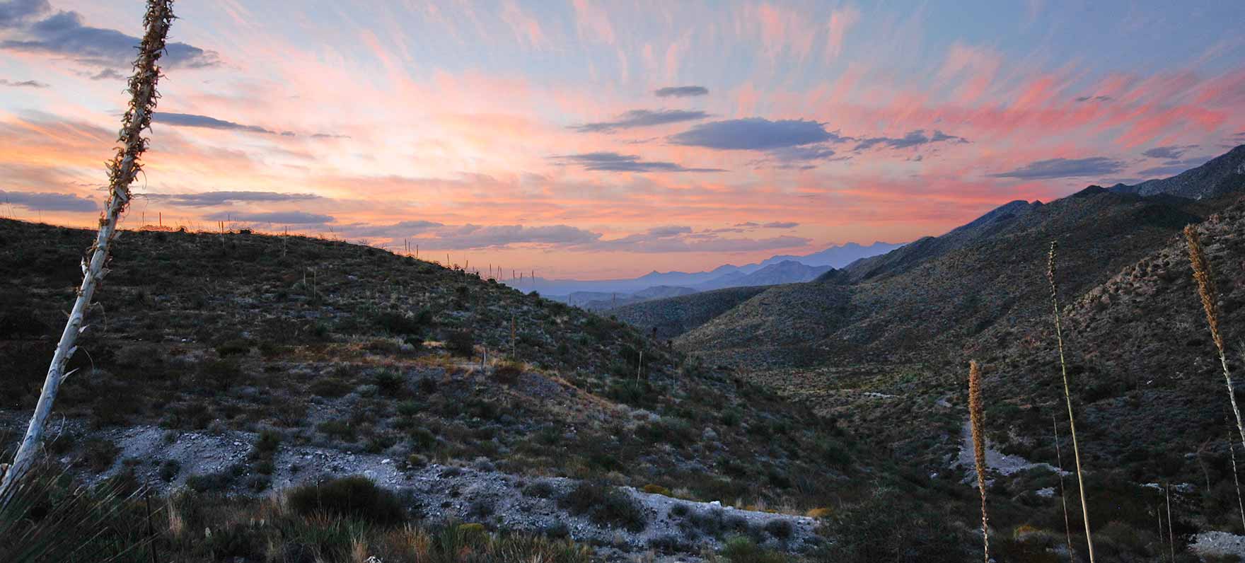 Far-west Texas state park grows by 1,000 acres to protect bighorn sheep habitat