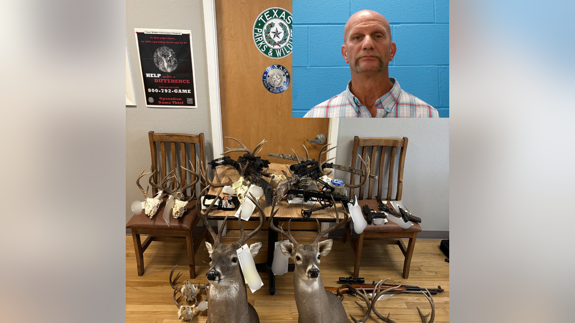 Texas Game Wardens say man illegally killed 13 deer, left carcasses to waste