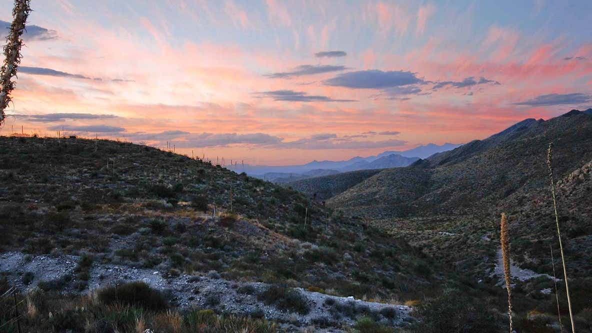 Far-west Texas state park grows by 1,000 acres to protect bighorn sheep habitat