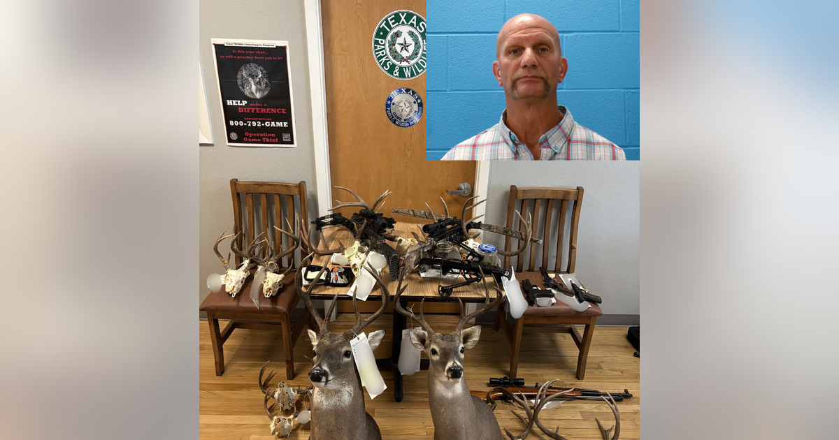 Texas Game Wardens say man illegally killed 13 deer, left carcasses to waste