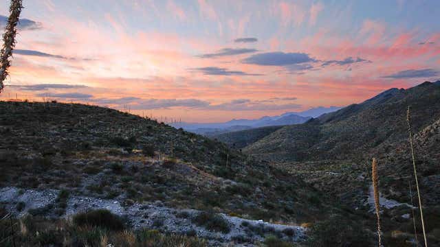 Far-west Texas state park grows by 1,000 acres to protect bighorn sheep habitat