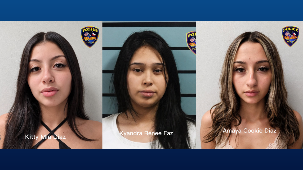 Texas mother of five killed in broad-daylight stabbing; three women charged with murder