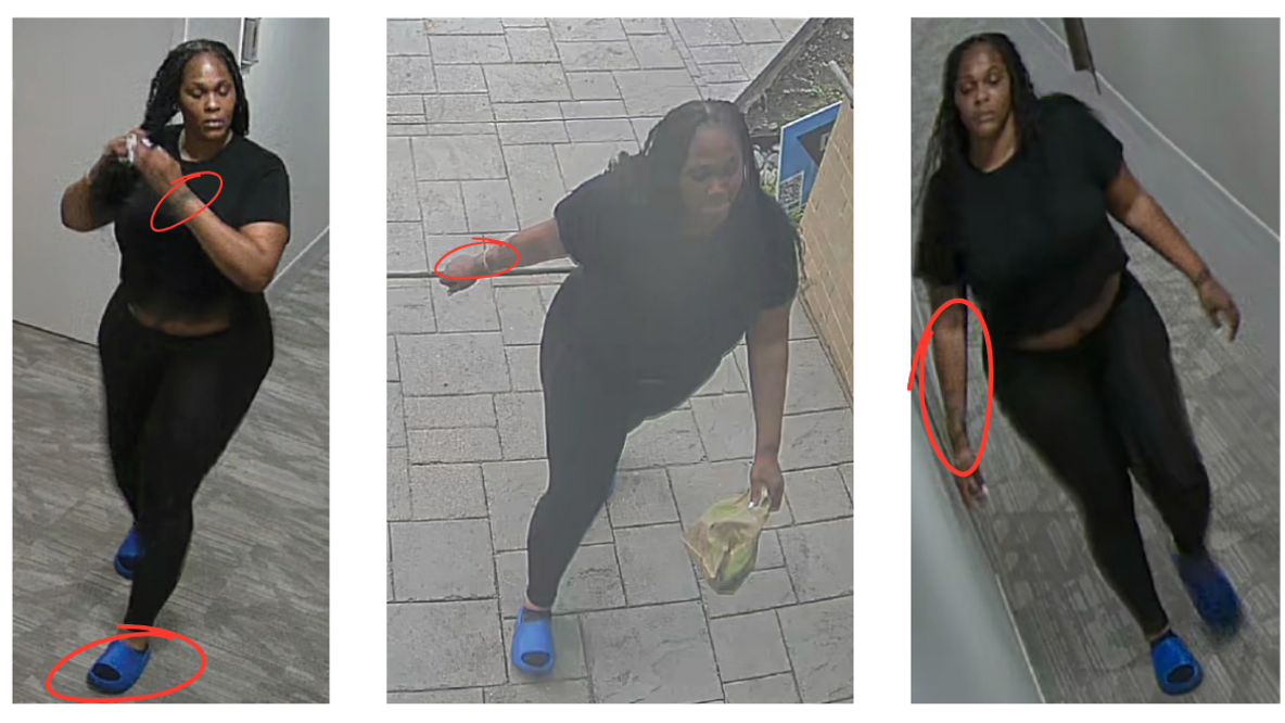 Austin credit card fraud suspect linked to Dallas case