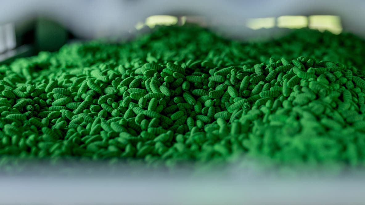 Texas secures immediate federal funding to hire livestock inspectors and fight ongoing New World screwworm out