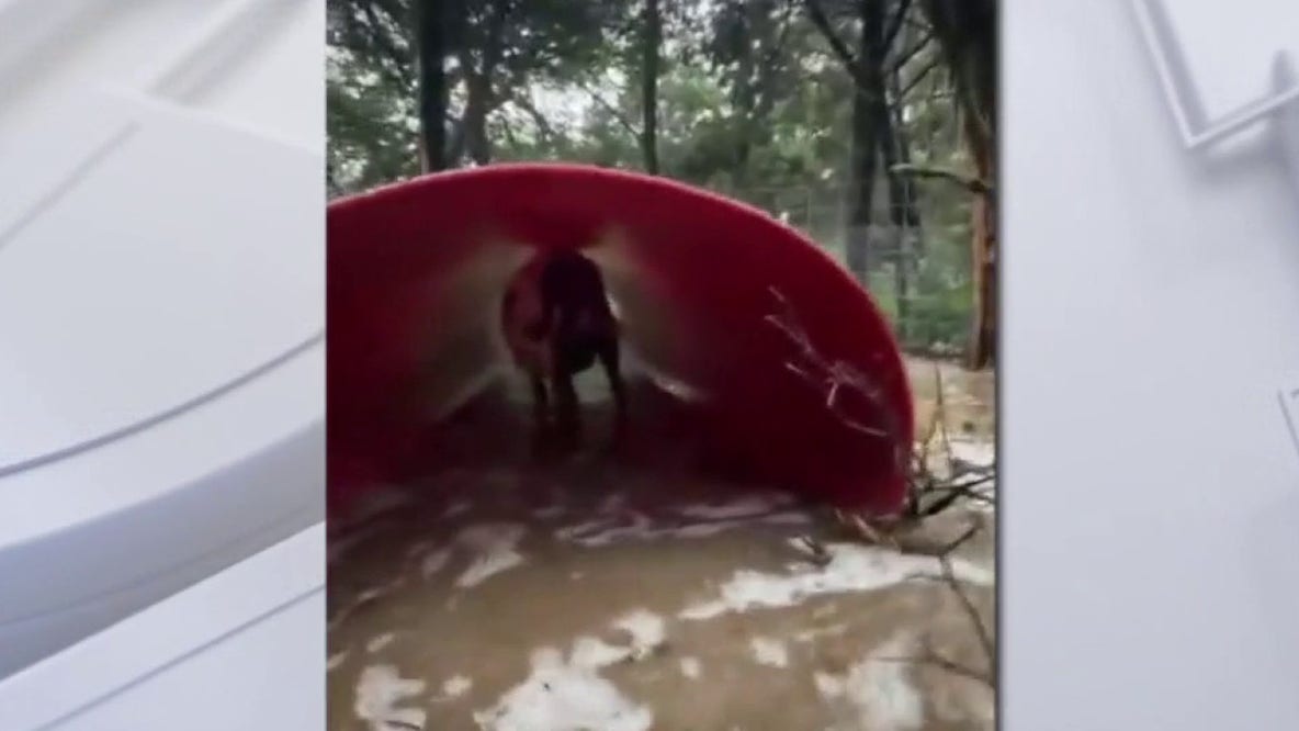 Leander nonprofit working to clean up after heavy rain, significant flooding