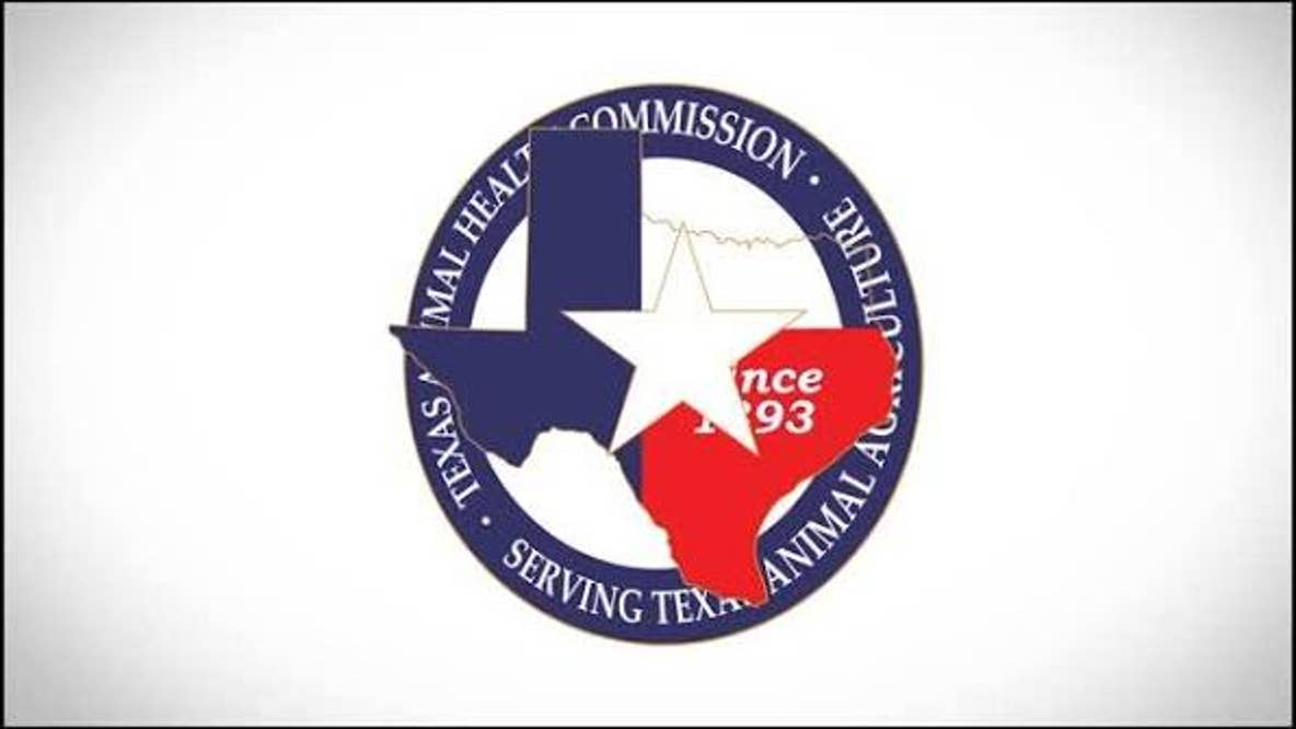 Texas confirms contagious equine virus case in Parker County donkey