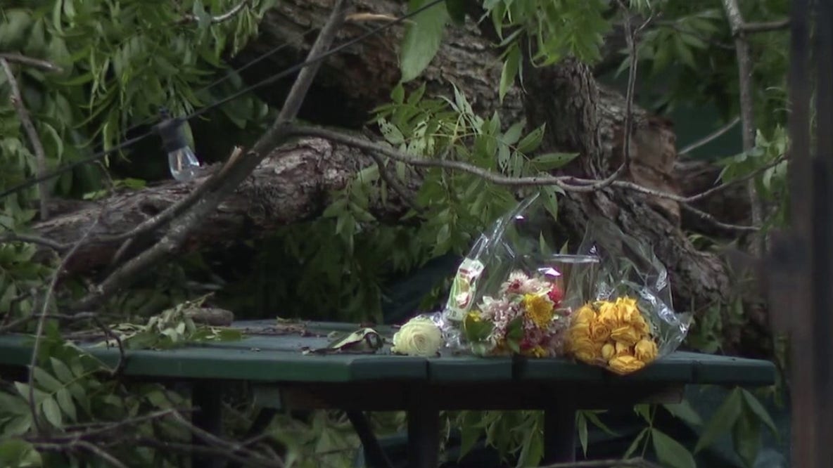 Lawsuit filed after falling tree kills man at Austin BBQ restaurant