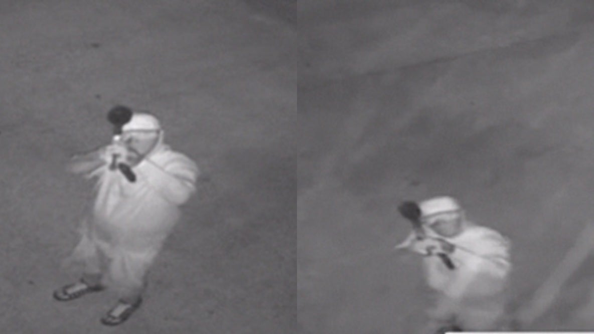 Burglar fires paintball, BB guns at South Austin collectibles store: APD