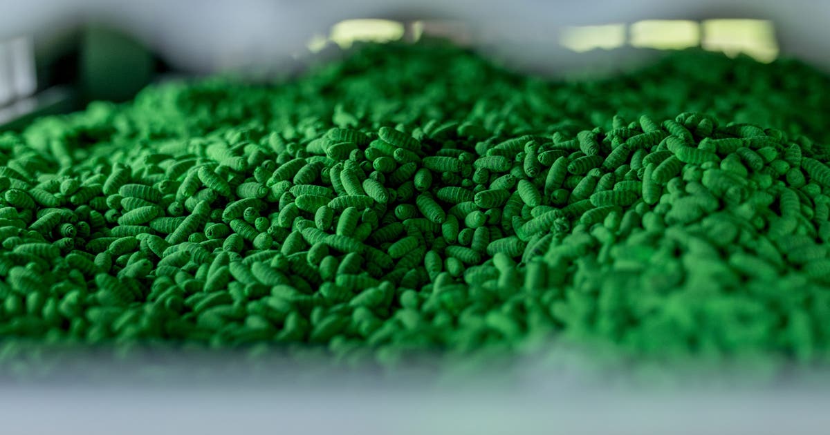 Texas secures immediate federal funding to hire livestock inspectors and fight ongoing New World screwworm out