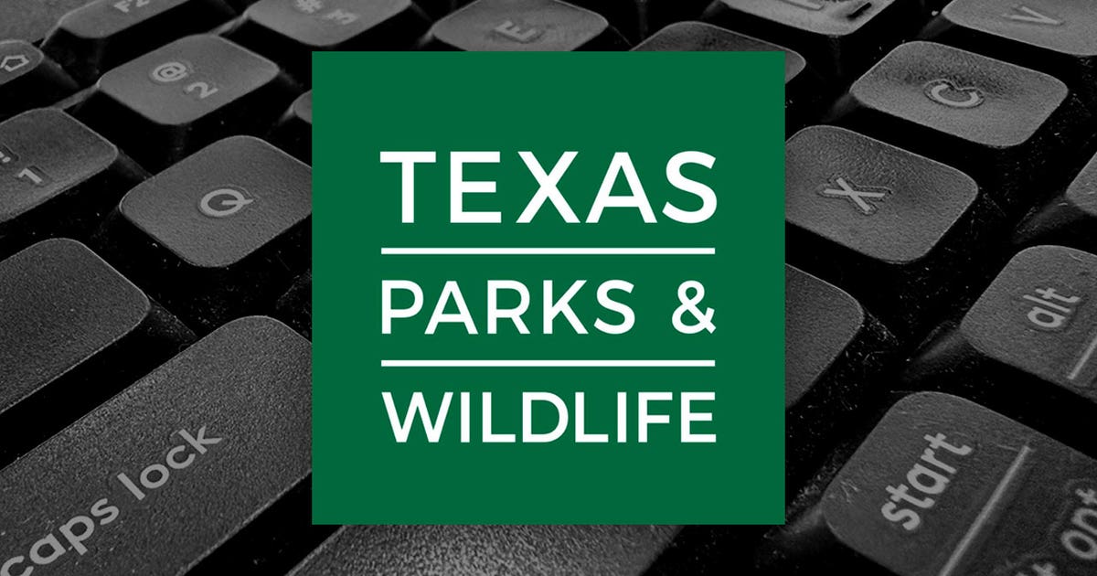 Personal info of 3 million Texas hunters, anglers possibly exposed in data breach