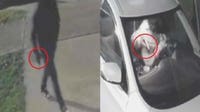 Georgetown PD investigating 20 car burglaries; 7 guns stolen