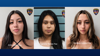 Texas mother of five killed in broad daylight stabbing; three women charged with murder