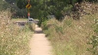 Overgrown lot owned by City of Austin trimmed after months of 311 requests
