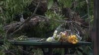 Lawsuit filed after falling tree kills man at Austin BBQ restaurant