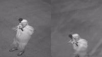 Burglar fires paintball, BB guns at South Austin collectibles store: APD