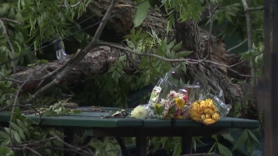 Lawsuit filed after falling tree kills man at Austin BBQ restaurant
