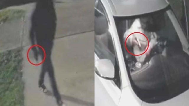 Georgetown PD investigating 20 car burglaries; 7 guns stolen