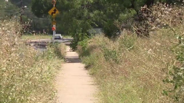 Overgrown lot owned by City of Austin trimmed after months of 311 requests