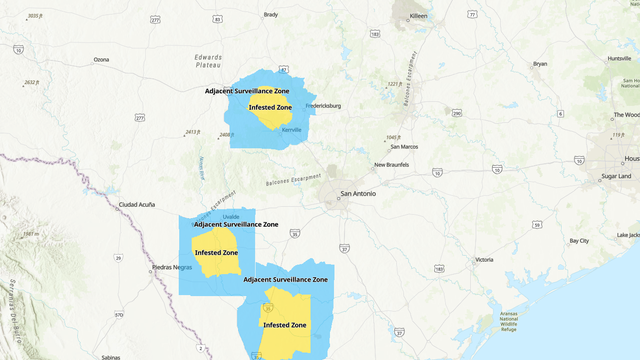 TRACK: Map shows where screwworm cases are in Texas