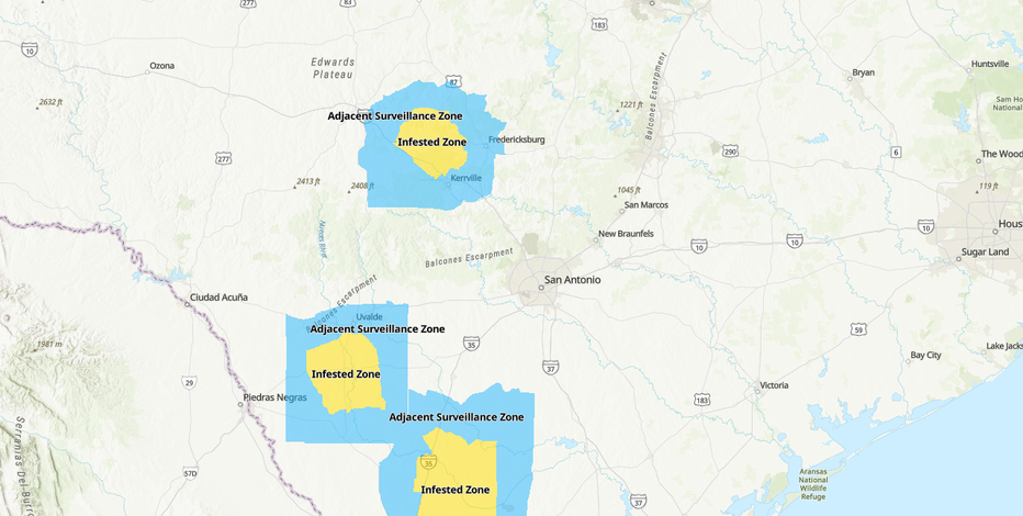 TRACK: Map shows where screwworm cases are in Texas