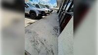 Damage to Comal County Democratic Party's office "not politically motivated": police