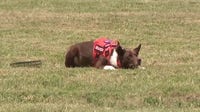 TEXSAR K9s helped search after July 4th deadly Texas floods