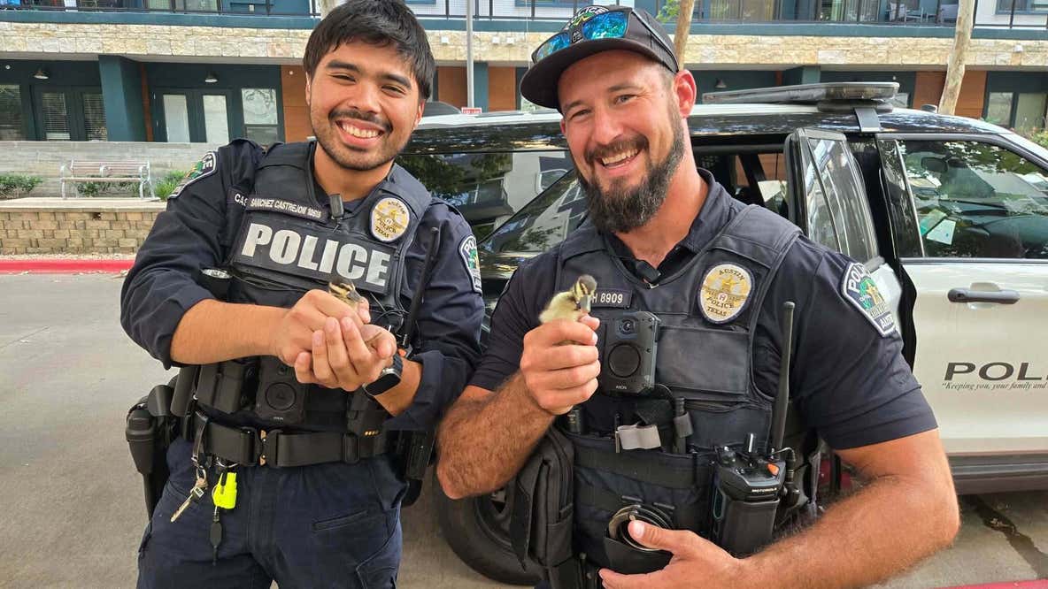 Duck rescue: Austin police round up ducklings stranded on I-35