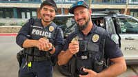 Duck rescue: Austin police round up ducklings stranded on I-35