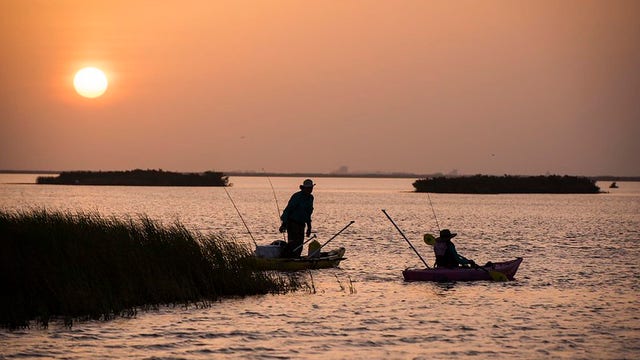 Texas hunting and fishing licenses for 2026-2027 season on sale Saturday