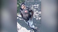 1 found dead in Round Rock; suspect at large: WCSO