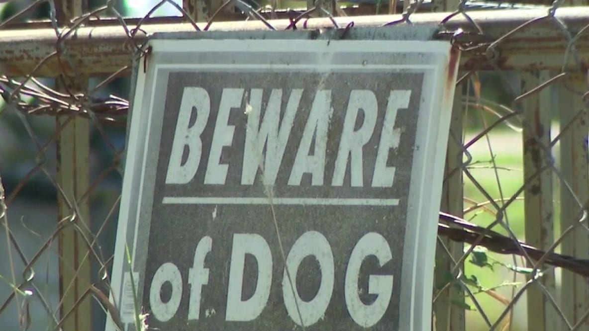 Pack of dogs in Caldwell County continue to attack pets on family's property