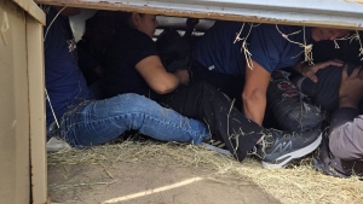 Texas man found guilty of smuggling migrants in cattle trailer behind hay bales