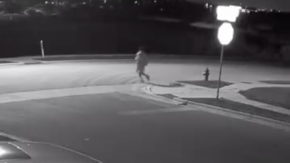 Teen attacked while walking dog in Round Rock neighborhood; police seeking person of interest