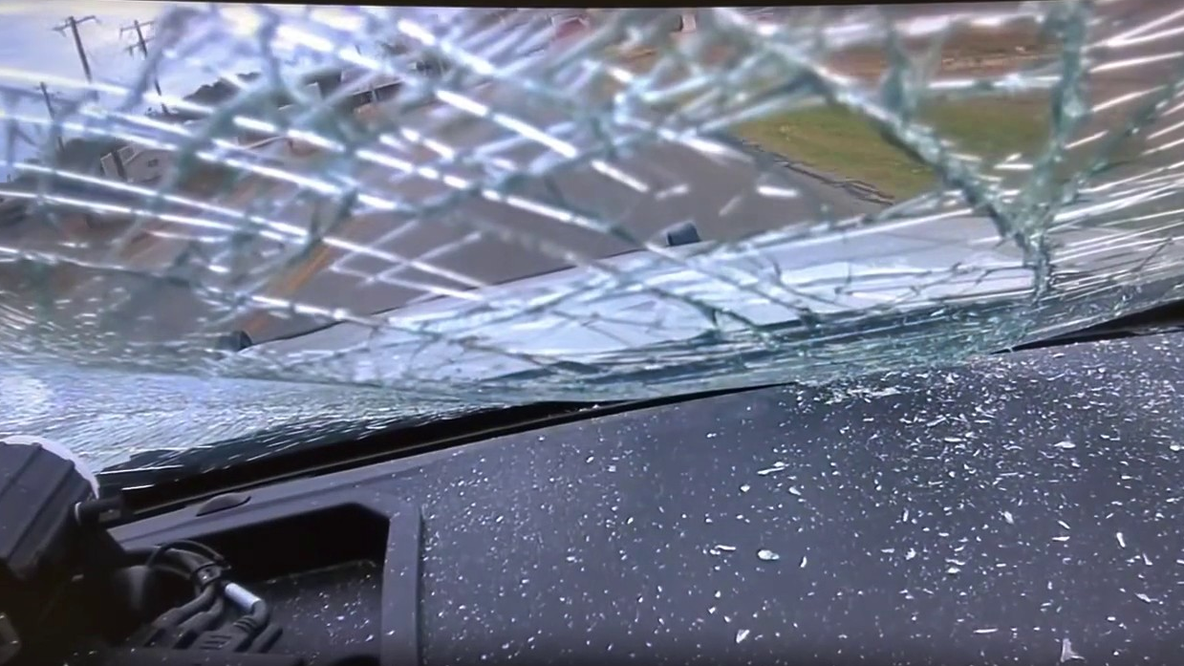 Video shows deer crashing through Texas police officer's windshield