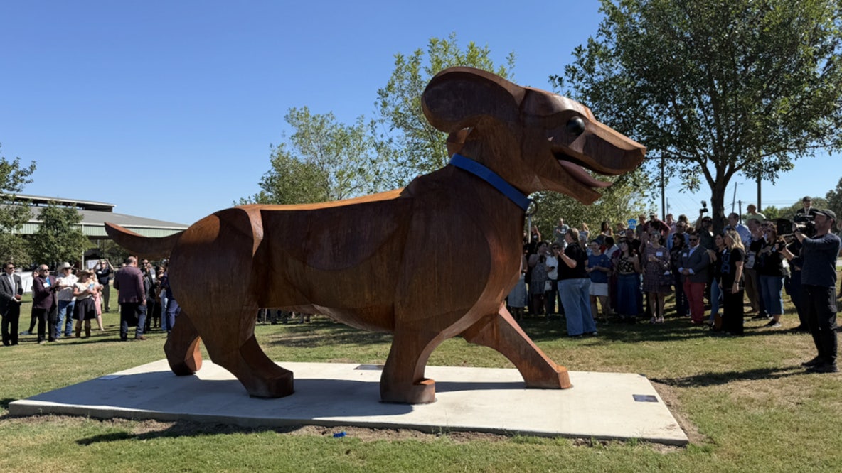 Largest wiener dog in Texas: Dachshund statue unveiled in Buda