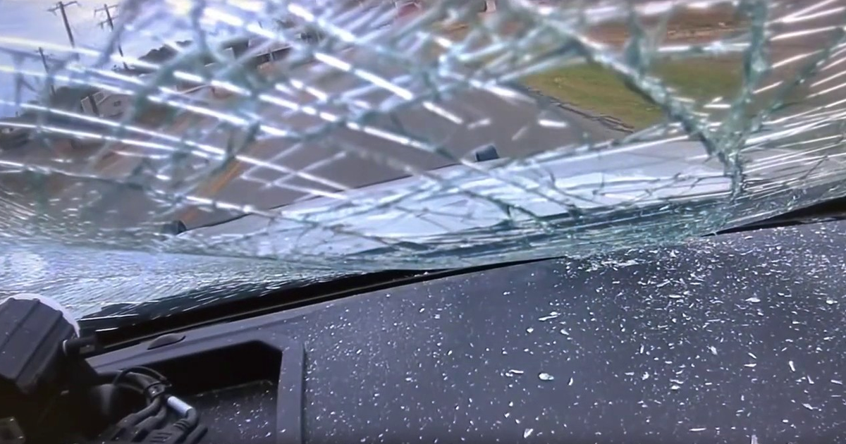Video shows deer crashing through Texas police officer's windshield