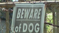 Pack of dogs in Caldwell County continue to attack pets on family's property