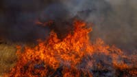 Texas volunteer firefighter is suspect in multiple arsons that damaged structures, cars: officials