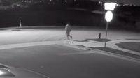 Teen attacked while walking dog in Round Rock neighborhood; police seeking person of interest